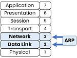 On Which Layer Arp Works?