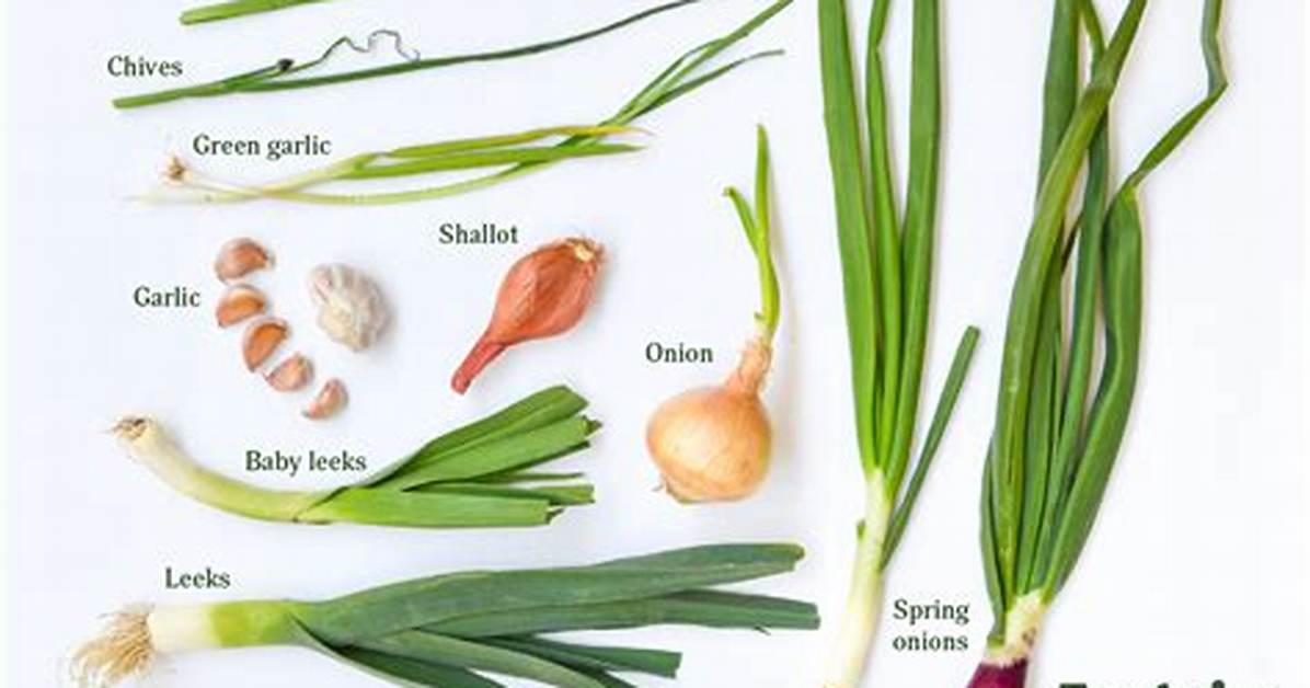 Onion-Like Vegetable