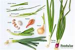 Onion-Like Vegetable