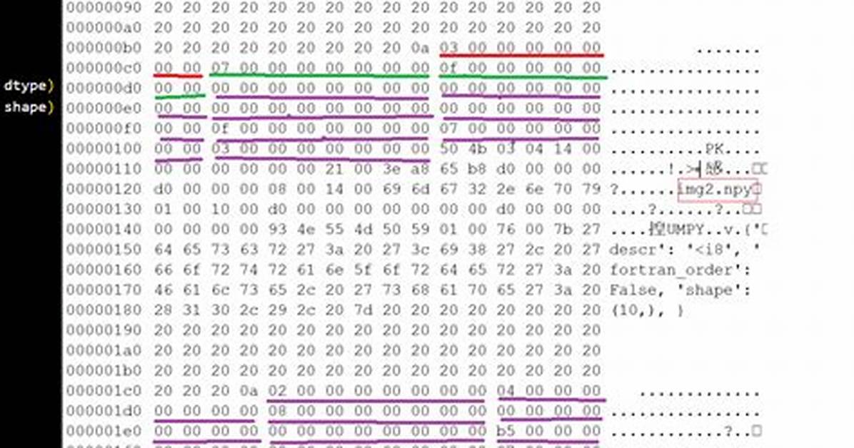 Open and View. Npz File in Python