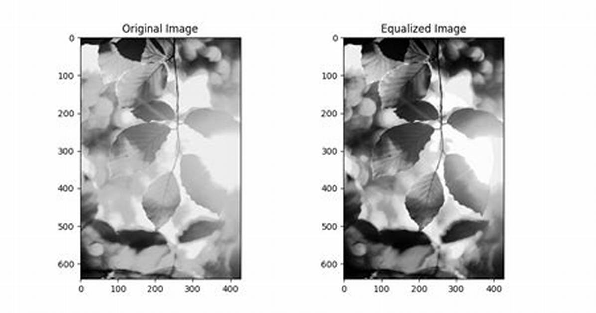 Opencv Python equalizeHist Colored Image