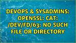 Openssl: Cat: /Dev/Fd/63: No Such File or Directory