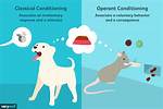 Operant vs Classical Conditioning