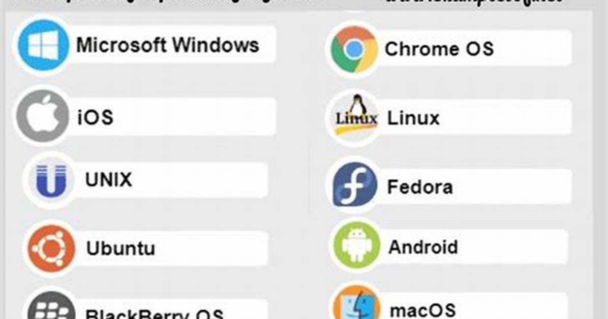 Operating System Examples