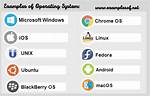 Operating System Examples