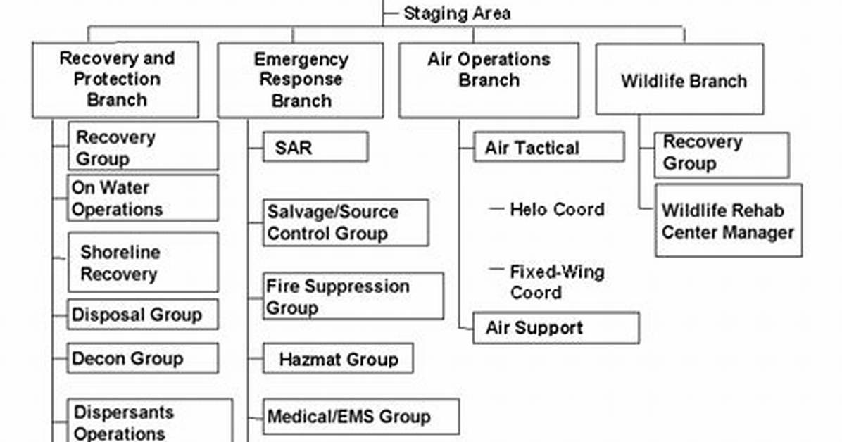 Operations Section Chief