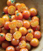 Orange Cherry Tomatoes