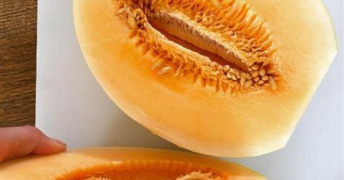 Orange Dew Melon