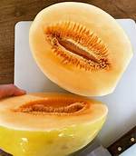 Orange Dew Melon