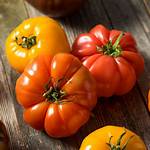 Orange Tomatoes