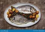 Orata Fish