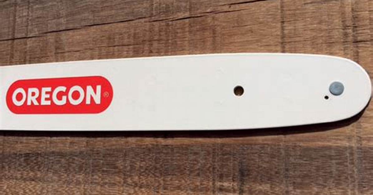 Oregon Chainsaw Bars