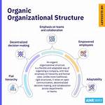 Organic Organization