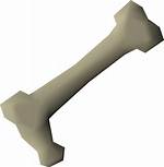 Osrs Long Bone