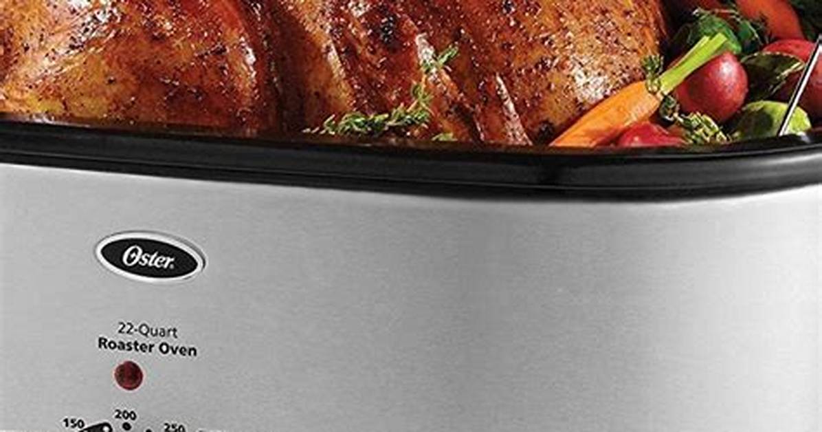 Oster Roaster