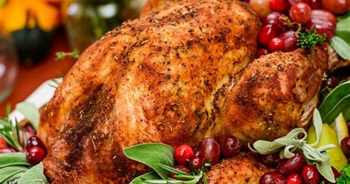 Oster Turkey Roaster