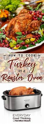 Oster Turkey Roaster