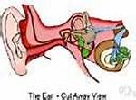 Otic Definition