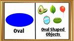 Oval Shape Objects