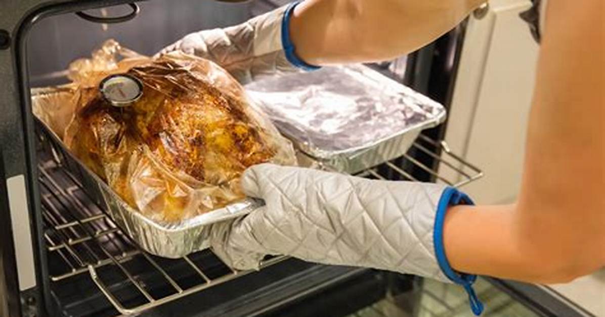 Oven Bag