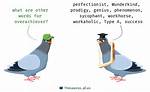 Overachiever Synonym