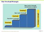 Overload Principle Definition