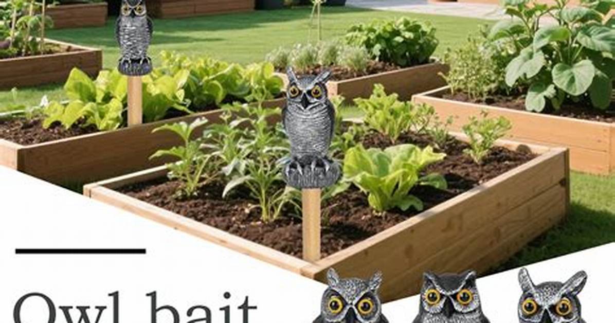Owl Decoy