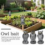 Owl Decoy