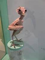 Owls Without Feathers