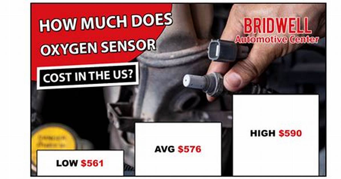 Oxygen Sensor Cost