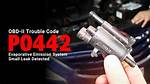P0442 Engine Code