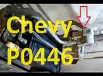 P0446 Code Chevy