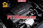 P1101 Code