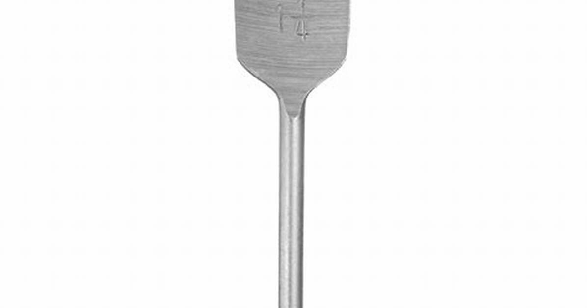 Paddle Bit