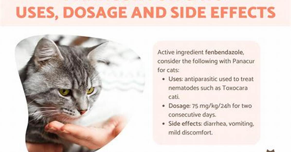 Panacur Side Effects