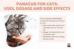 Panacur Side Effects