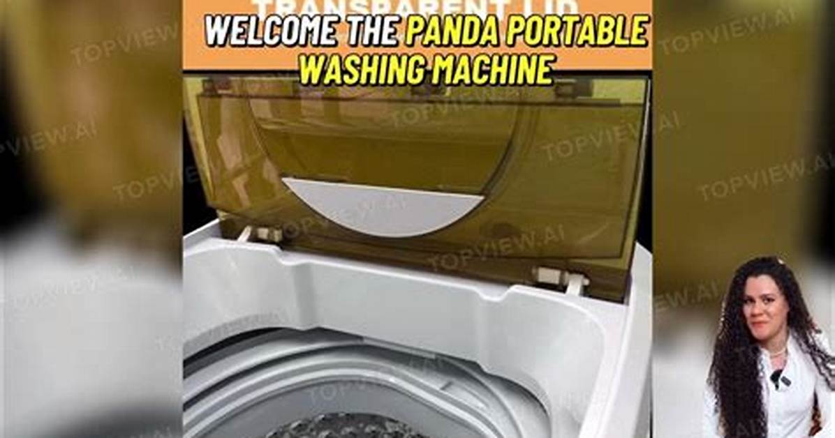 Panda Washer