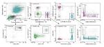 Panel Design - Flow Cytometry Core Facility