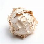 Paper Spitball for Example