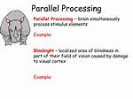 Parallel Processing Psychology Definition