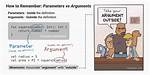 "Parameter" vs "Argument" [Duplicate]