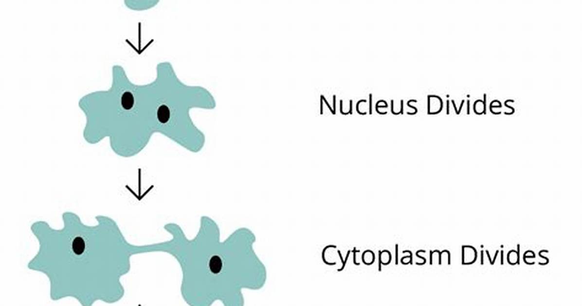 Parent Cell