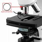 Parfocal Microscope