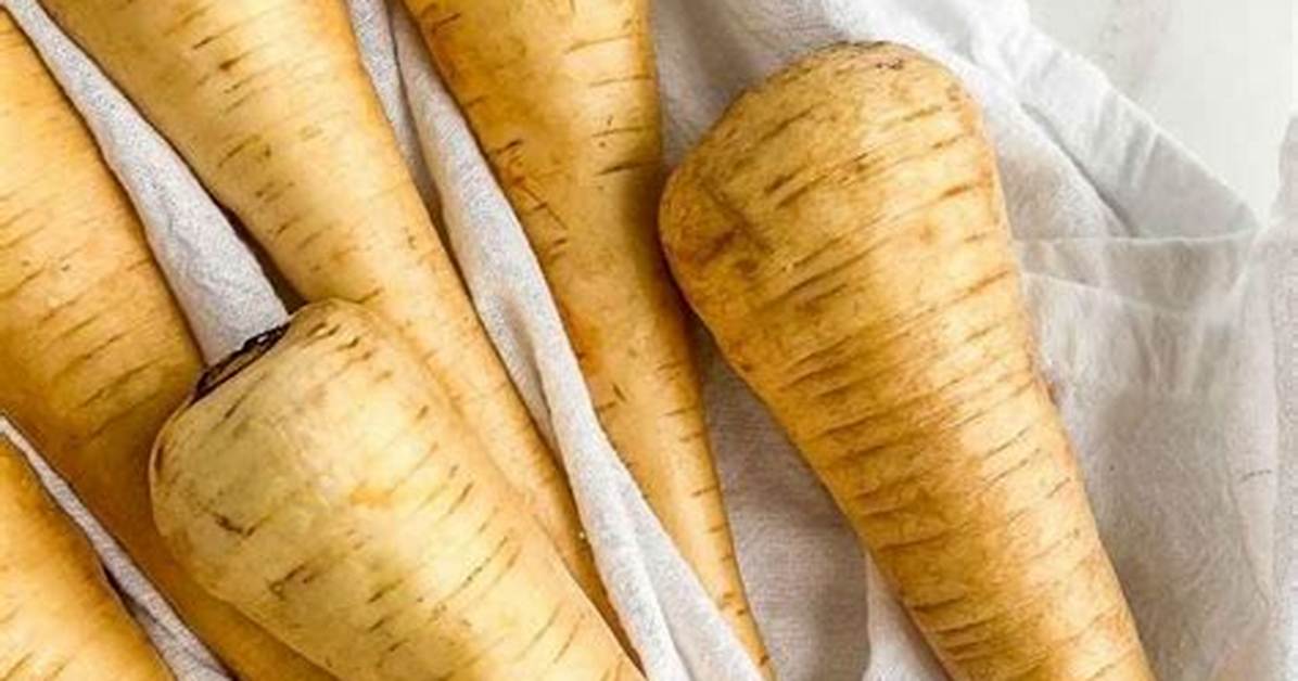 Parsnip Substitute