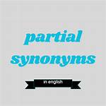 Partial Synonym