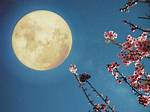 Paschal Full Moon