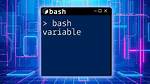 Pass Environment Variable to Bash Script, Called from Within a Function