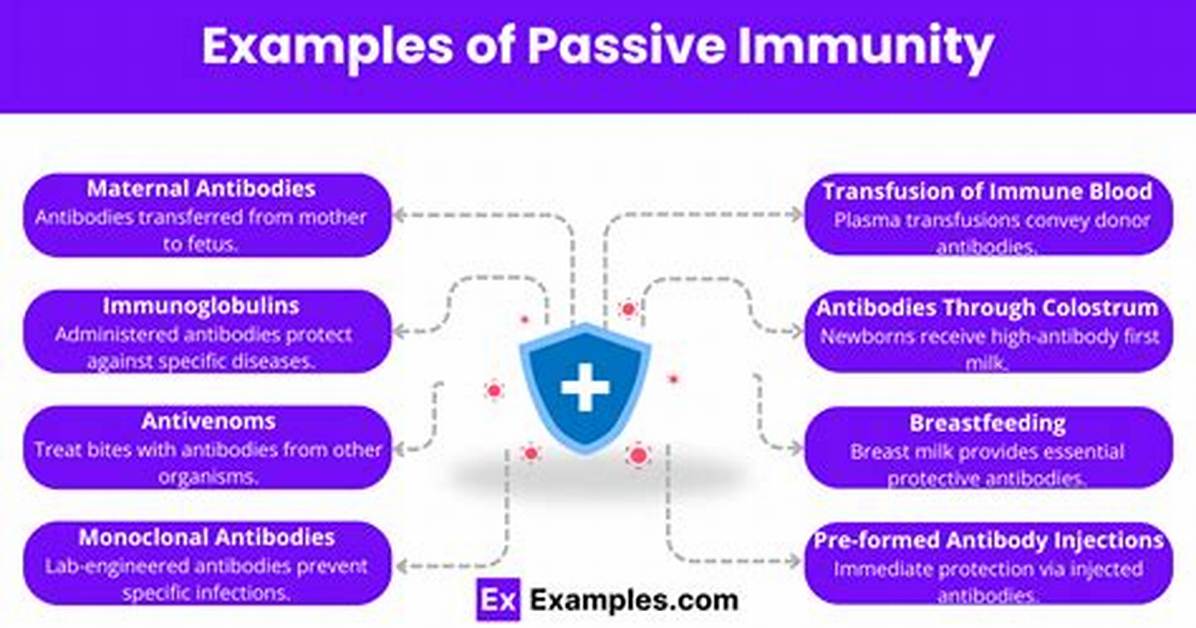 Passive Immunity Examples