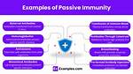 Passive Immunity Examples
