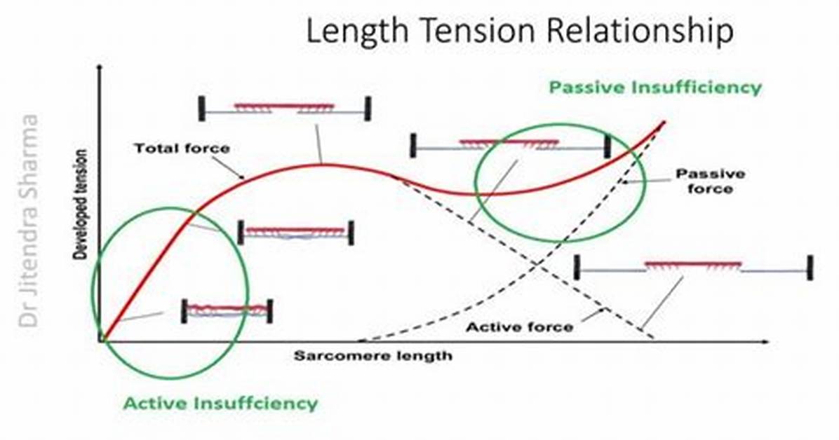 Passive Insufficiency
